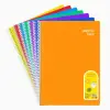 FLEX SP PP DEF.A4 120 YP.CIZGILI