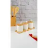 Flora 3lü Baharat Seti Kaşıklı