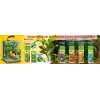 Florena (100 ml)