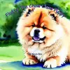 Fluffy The Chow Chow Puppy