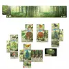 Forest Shuffle - Kutu Oyunu, Türkçe Baskı
