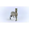 Fransız Binicilik Atı Aygır Figürü