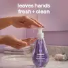 French Lavender Sıvı Sabun 354 Ml
