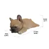 Gift Ltd. Uyuyan Pug Yavru Köpek