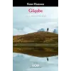 Göçebe Romanı