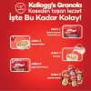 Granola Meyveli 340 g