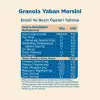 Granola Yaban Mersini ve Kuruyemiş 200 g