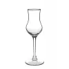 Grappa Dıgestıve Kadeh 95 CC 6 PT