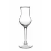 Grappa Dıgestıve Kadeh 95 CC 6 PT
