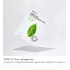 Green Tea Solution Maske
