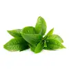 Green Tea Ufo Activated Mask (1 x 6 Adet)