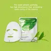 Green Tea Ultimate Hydrating Maske