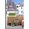Greenosier 1mX3m hasır kamış çit