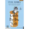 Günde Bir Doz Kedi