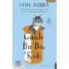 Günde Bir Doz Kedi