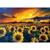 Güneş Hasatı 1000 Parça Puzzle