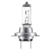 H7 12V 55W 64210L Ampul
