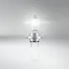 H7 12V 55W 64210L Ampul