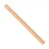 Hatas Tahta Cetvel 50 cm