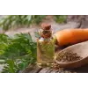Havuç Tohumu Yağı 20 Ml