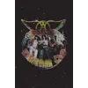 Hexagonal Graph Paper - Aerosmith Dream On