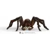 HP Aragog Oyuncak