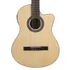 IC-100G 4/4 CE Dna Klasik Gitar