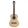 IC-100G 4/4 Dna Klasik Gitar