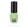 Ice Chic 123 Numara Oje