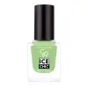 Ice Chic 123 Numara Oje
