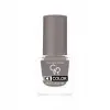 Ice Color Nail Lacquer No:160