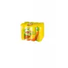 Ice Tea Limon 250 ml 8li
