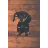 Independently published Fearless Doxie Journal