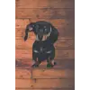 Independently published Fearless Doxie Journal