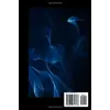 Independently published I 99 Problems But Teaching Aint 1: Teacher Journal