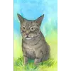 Independently published Journal: Journal with brown tabby cat