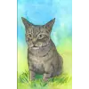 Independently published Journal: Journal with brown tabby cat