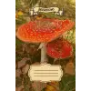 Independently published Red Toadstool - Fly Agaric - Amanita Muscaria: Notebook with lined paper