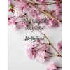 Independently published The S.O.A.P. Bible Study Method 30-Day Journal