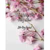 Independently published The S.O.A.P. Bible Study Method 30-Day Journal