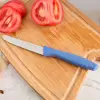 İndigo domates bıçağı, 10 cm