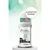 Invisible Fresh Roll On, 50 Mililitre