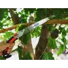 Izeltaş Dal 300 Mm Budama Testeresi