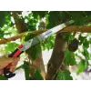 Izeltaş Dal 300 Mm Budama Testeresi