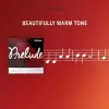 J1013 4/4M çello tek teli, Prelude, G-Sol, 4/4 Scale, Medium T