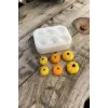 Kabak Mini Altılı Mum Kalıbı (Silikon)