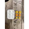 Kabak Mini Altılı Mum Kalıbı (Silikon)