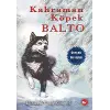Kahraman Köpek Balto, Ciltsiz