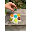 Kaktüs Mini Yedili Silikon Mum Kalıbı