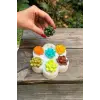 Kaktüs Mini Yedili Silikon Mum Kalıbı